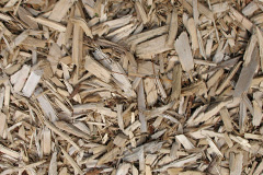 biomass boilers Llwynduris